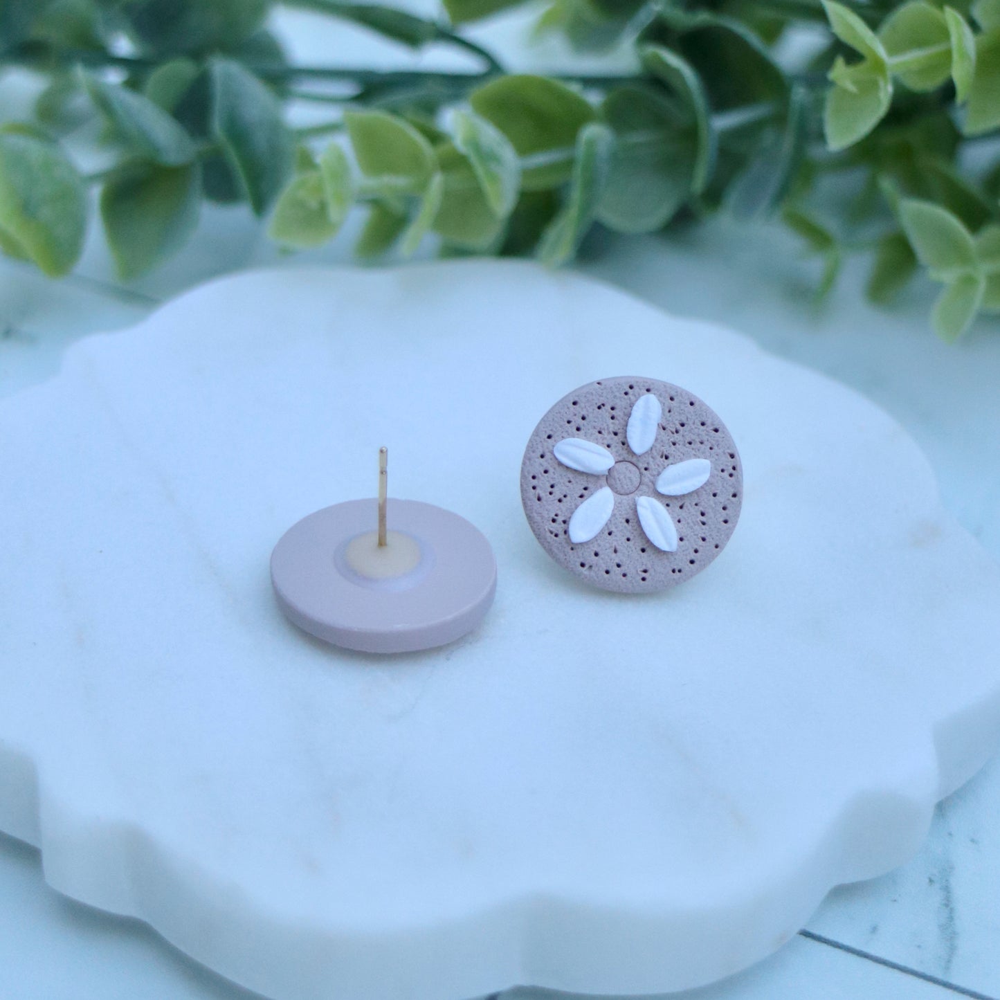 Sand dollar earrings.