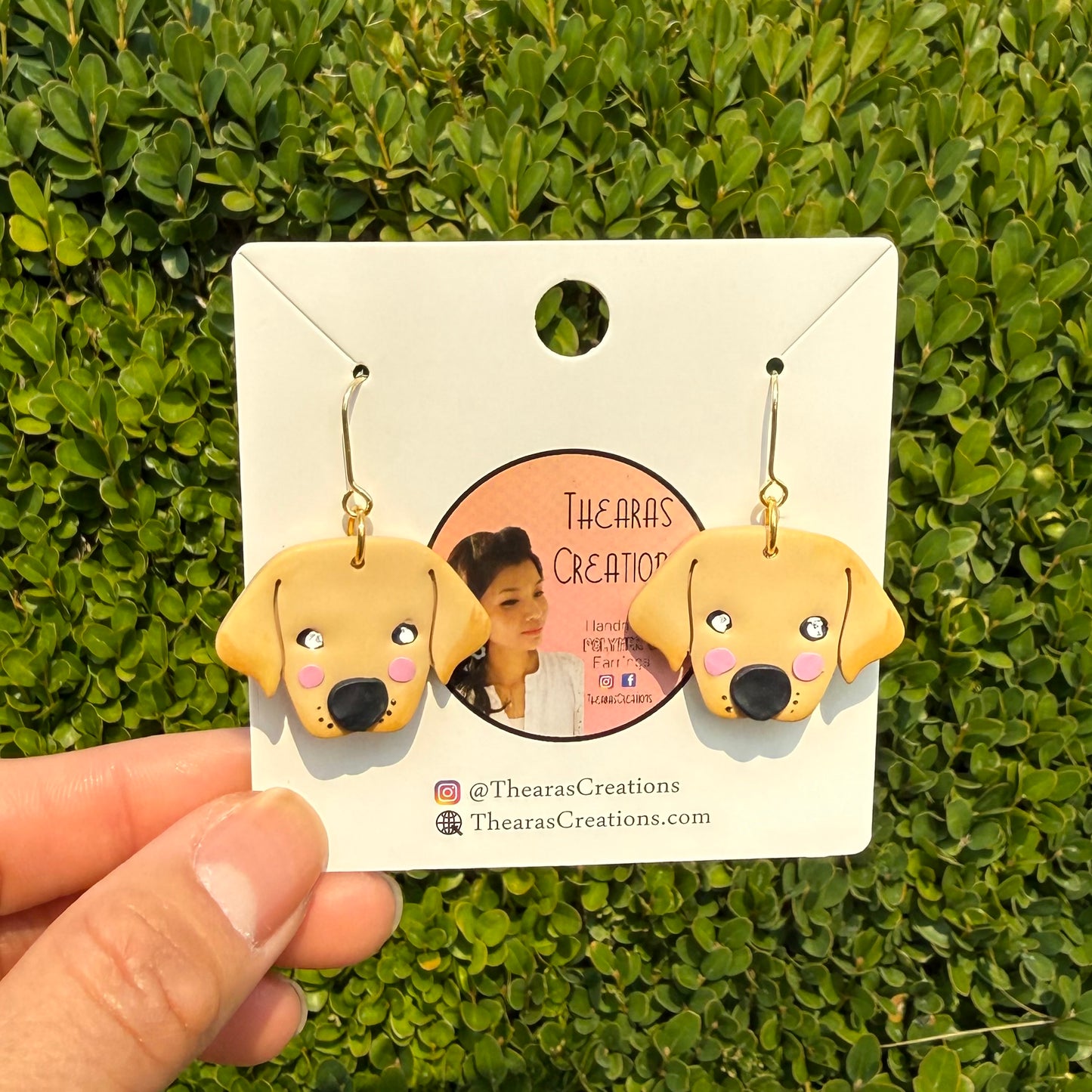 Golden Retriever Poppy