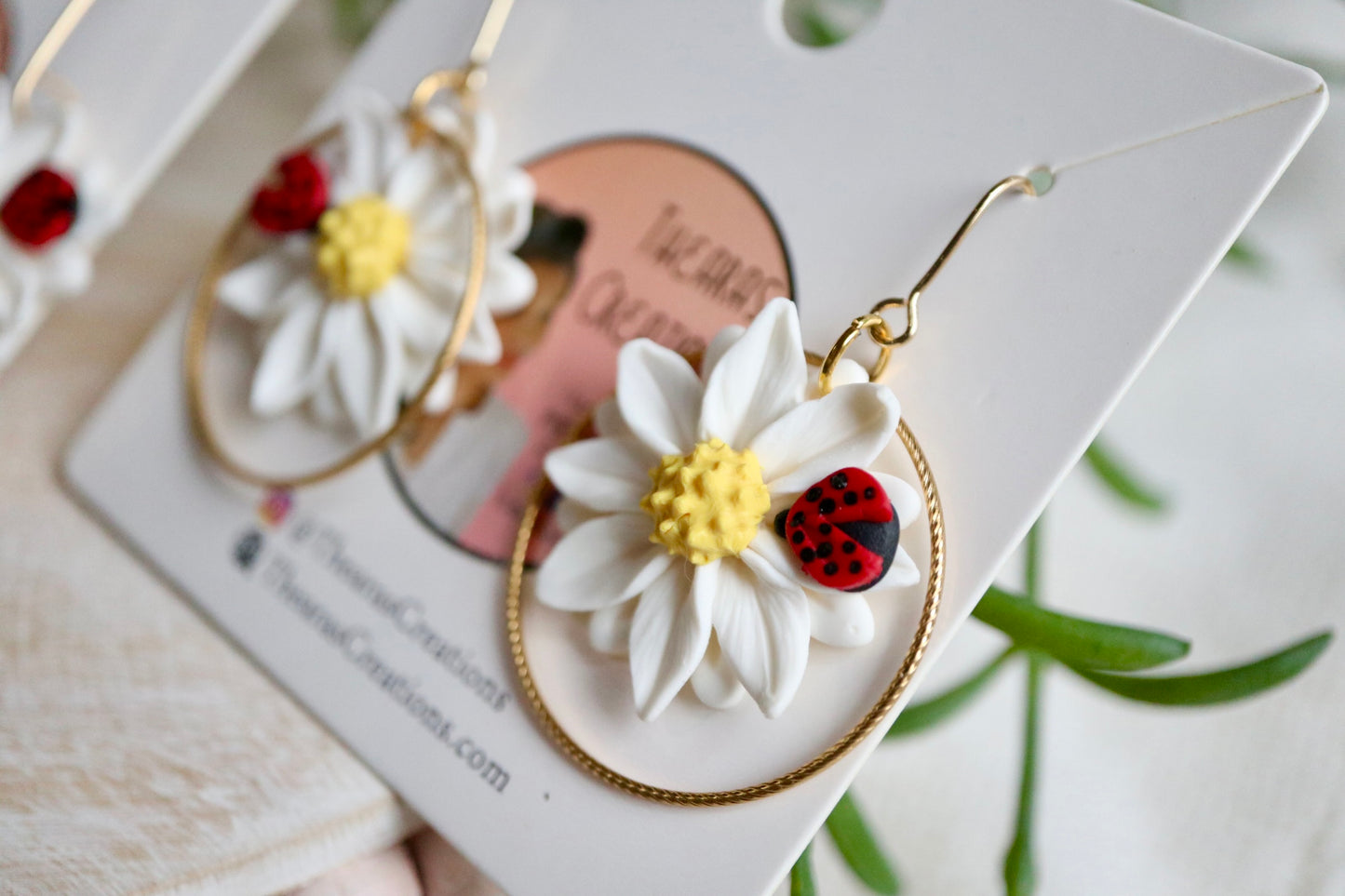 White Daisy w/ Lady Bug