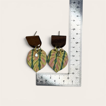 Philodendron Leaf