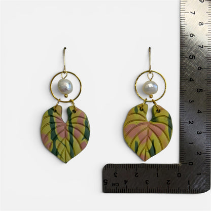 Philodendron Leaf