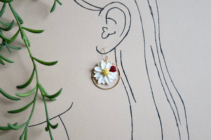 White Daisy w/ Lady Bug