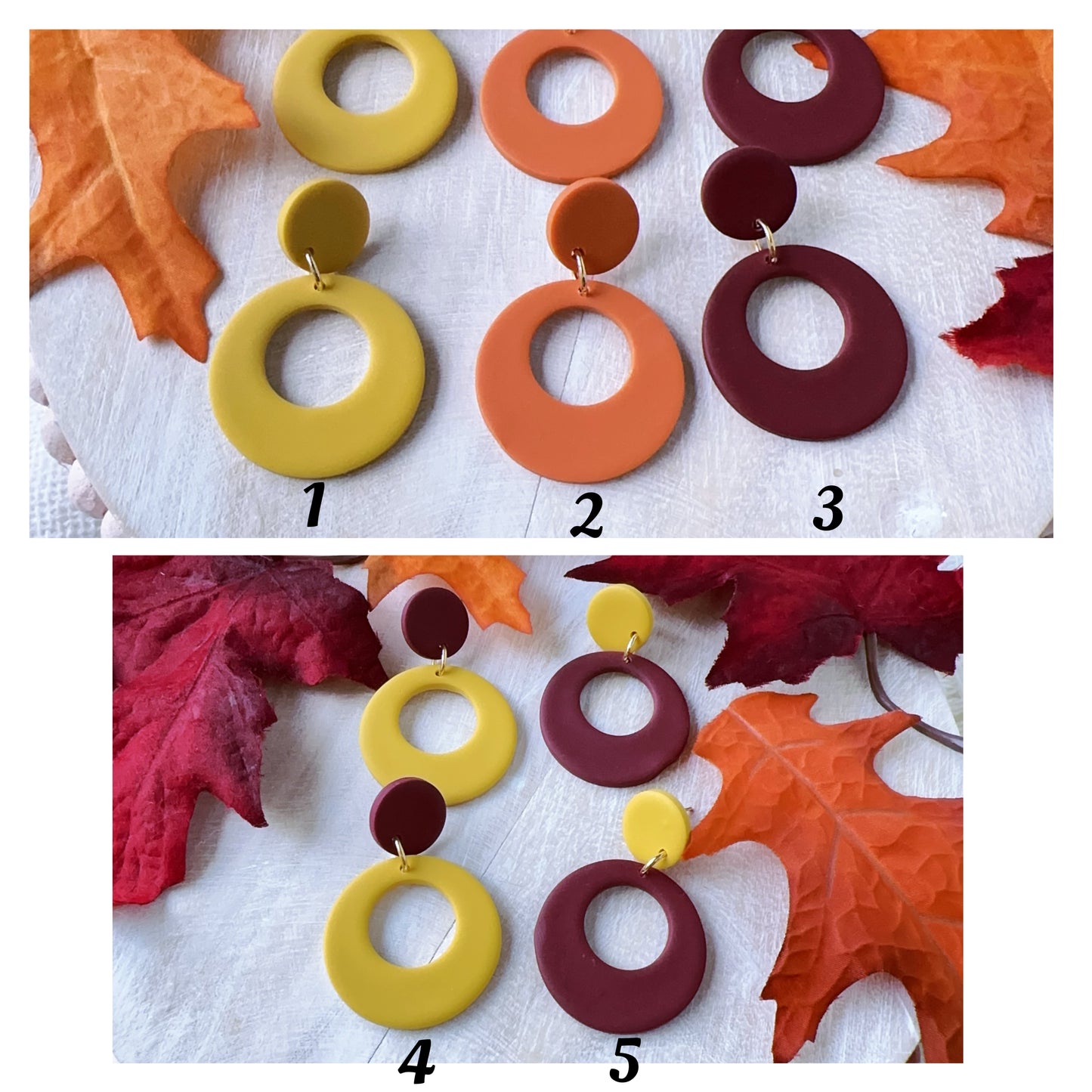 Fall colors Circle