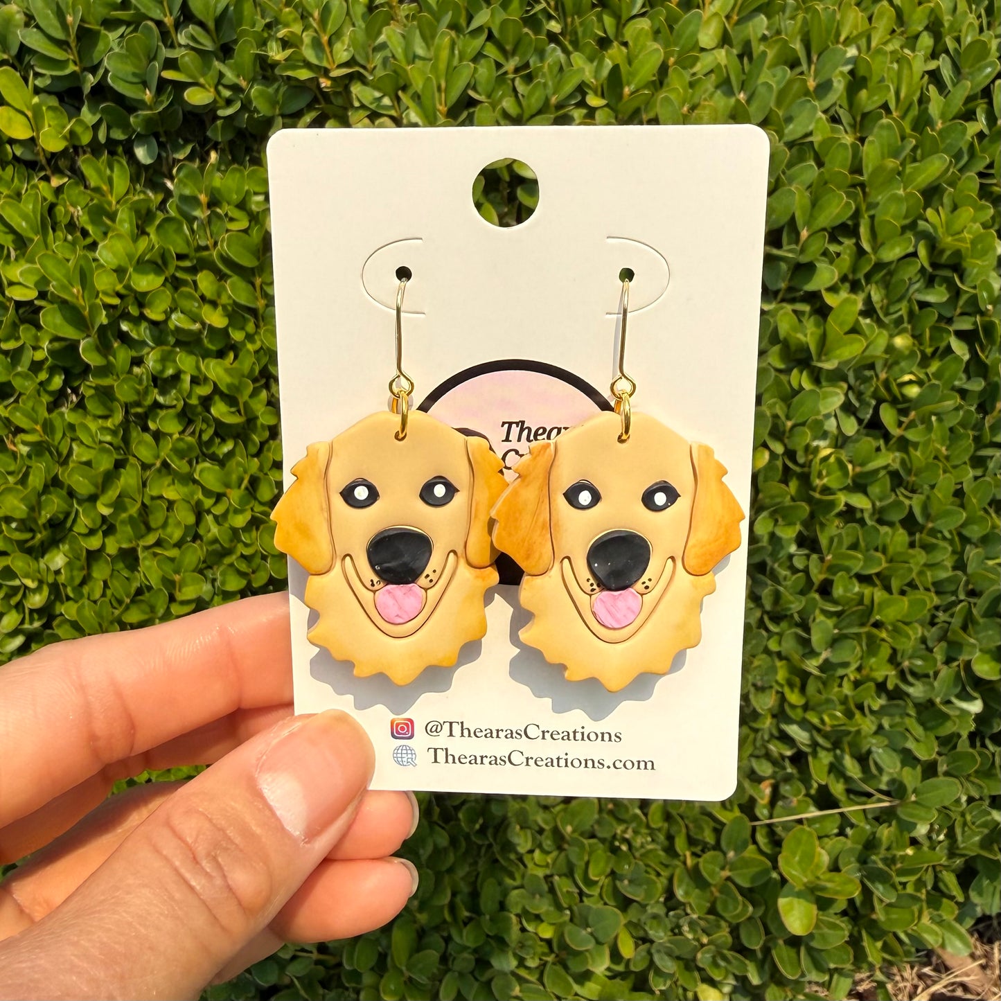 Golden Retriever Adult
