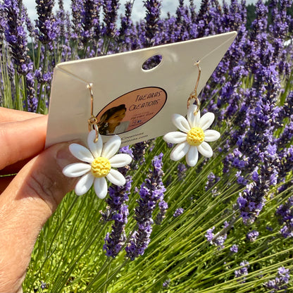 A Day Daisy