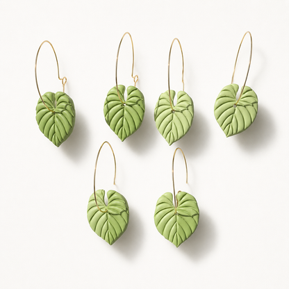 Philodendron Hoops