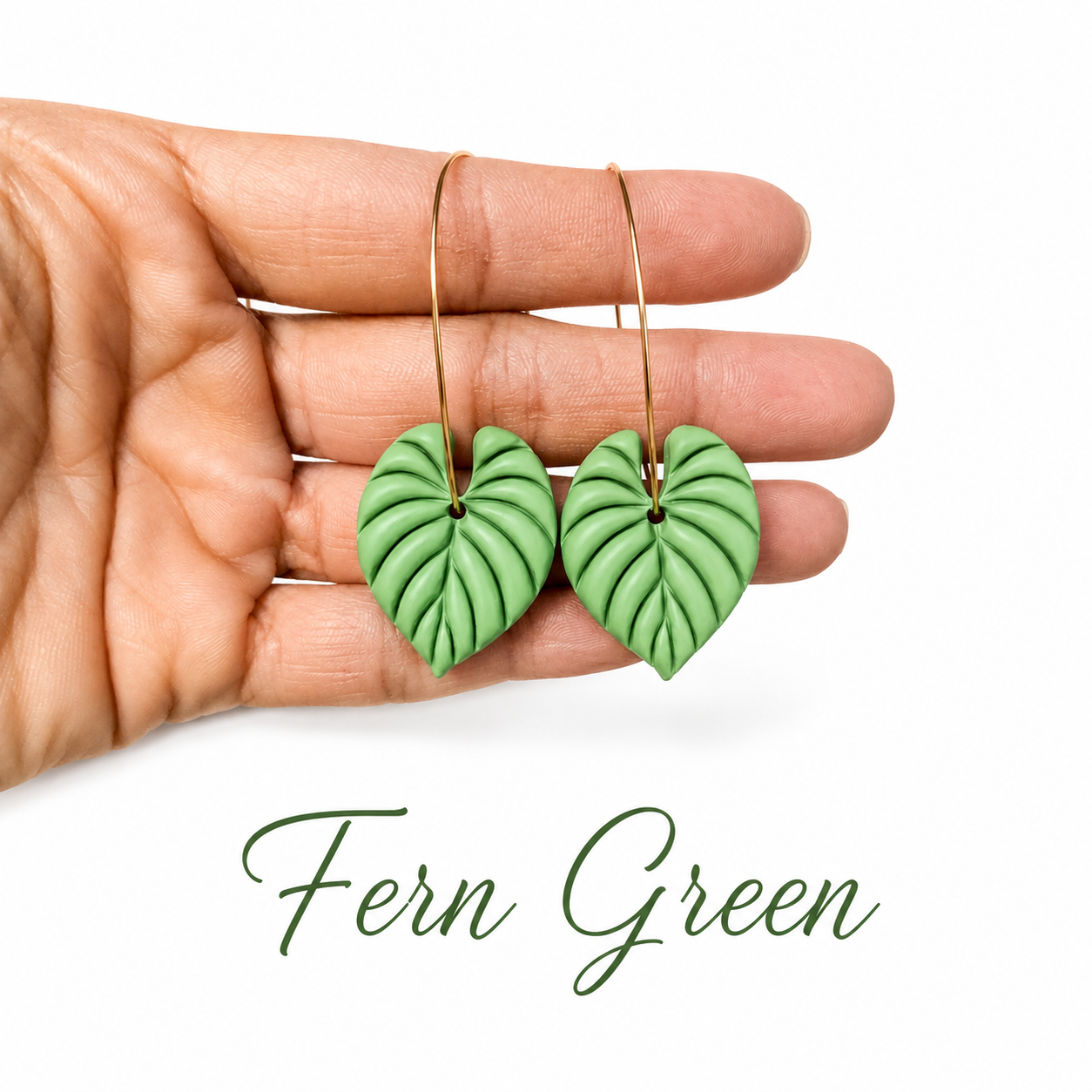 Philodendron Hoops