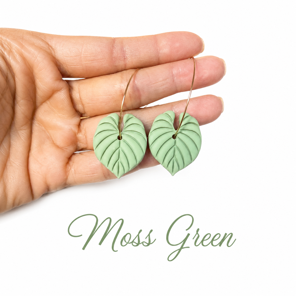 Philodendron Hoops