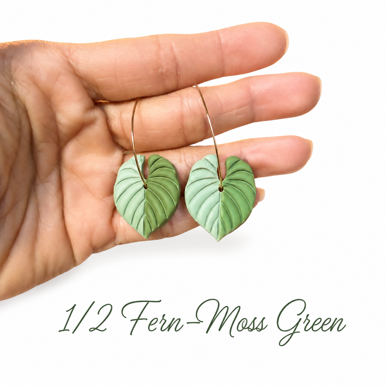 Philodendron Hoops