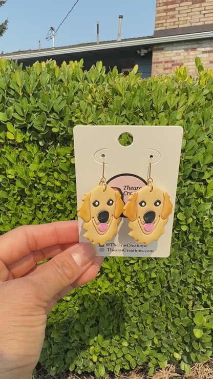 Golden Retriever Adult